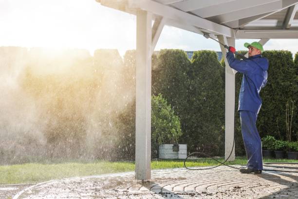 Animal Enclosure Cleaning in Lemont Furnace, PA